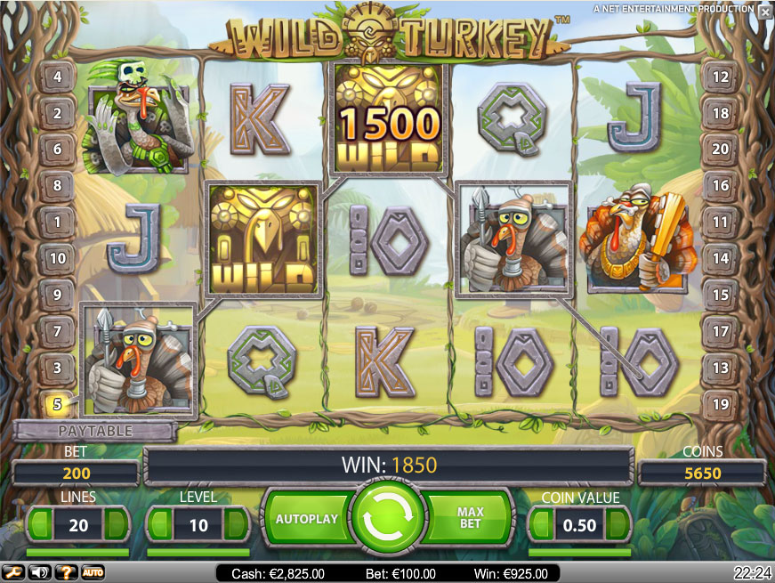 slot machine Wild Turkey