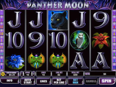Slot gratis Crazy Monkey