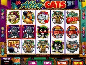 Alley Cats slot machine