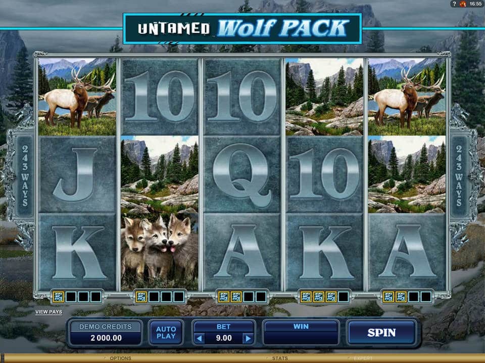 Untamed-Wolf-Pack-slot-online-3