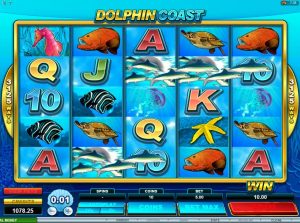 dolphin coast slot online 3