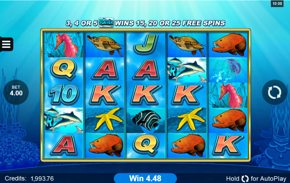 dolphin-coast-slot-online