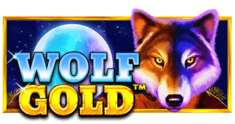 dettagli della slot wolf gold